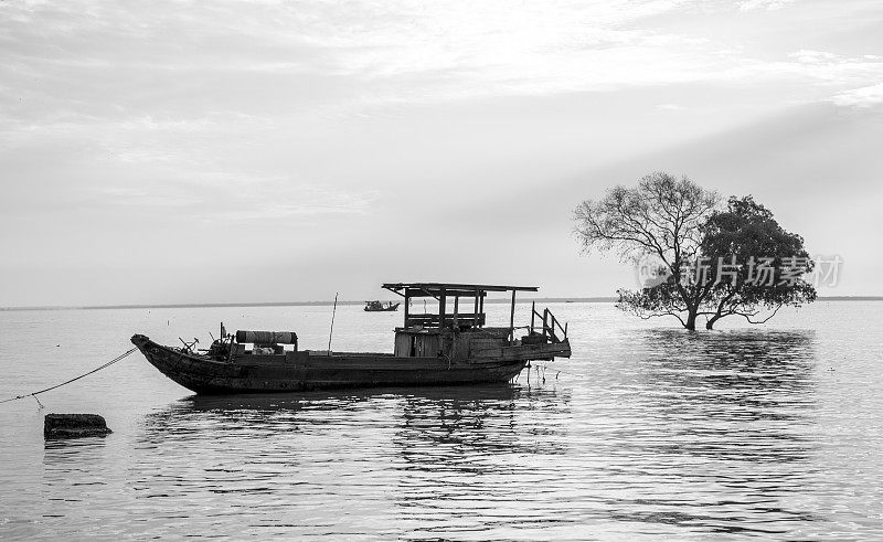 一艘停靠在Tan Thanh海上的船和清晨阳光下的红树林的景观，天江省